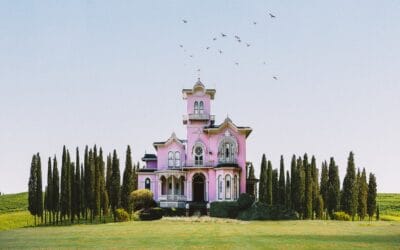 5 Arbres brise-vue pour transformer votre jardin