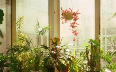 Fenêtre coulissante : comment l’isoler ?