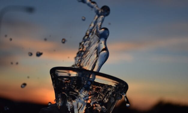 Comment faire fuir les chats avec une bouteille d’eau ?
