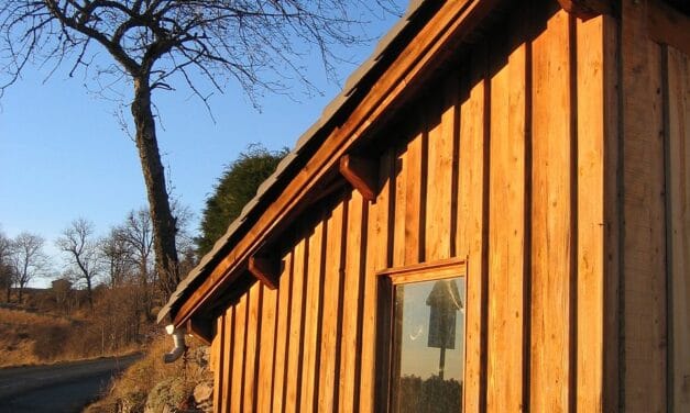 Pourquoi le bardage en bois est la meilleure option de revêtement extérieur ?