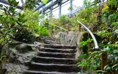 Escalier de jardin sur une pente raide&nbsp;: quelles solutions pour l’aménager&nbsp;?