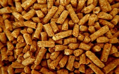 Quels sont les inconvénients d’une chaudière à granulés?