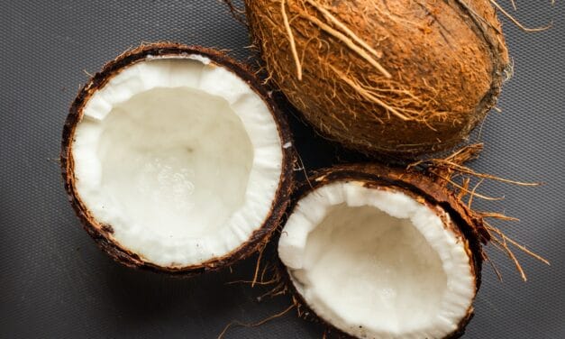 Comment utiliser la fibre de coco en agriculture biologique ?