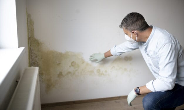 Taches d’humidité dans une maison : cela peut-il venir d’une mauvaise ventilation ?