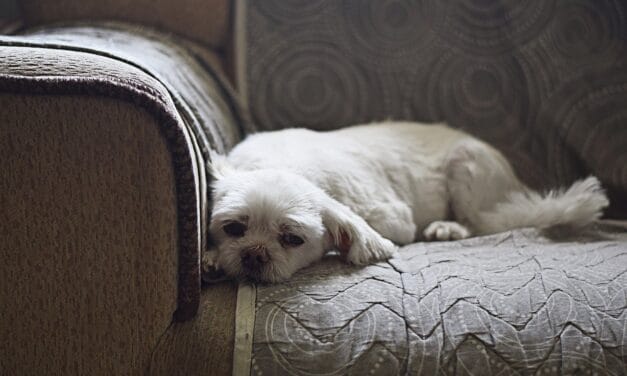 Comment rénover un clic-clac pour lui donner une seconde vie