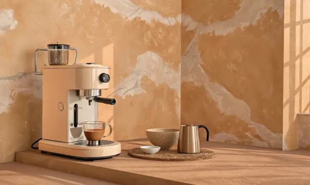 Cartouche filtrante Delonghi Magnifica S : guide d’installation et d’entretien