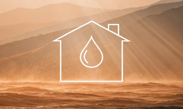 Adoucisseur CO2&nbsp;: principe, efficacité anti-tartre et comparaison avec le sel